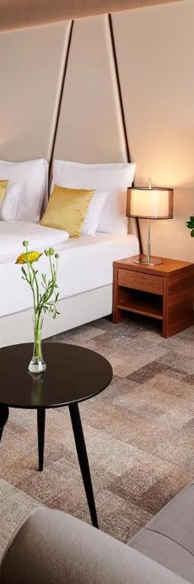 Artis Boutique Hotel，位于松博特海伊的酒店