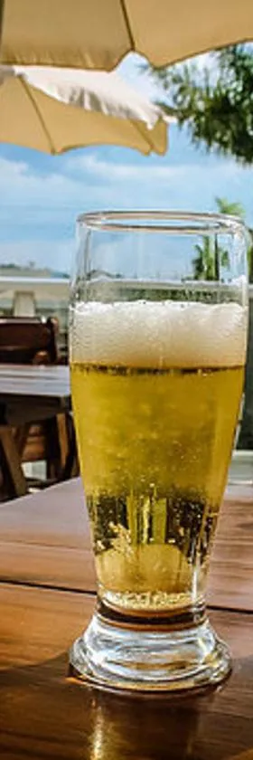 Hotel Portal das Águas，位于雅瓜里乌纳的酒店