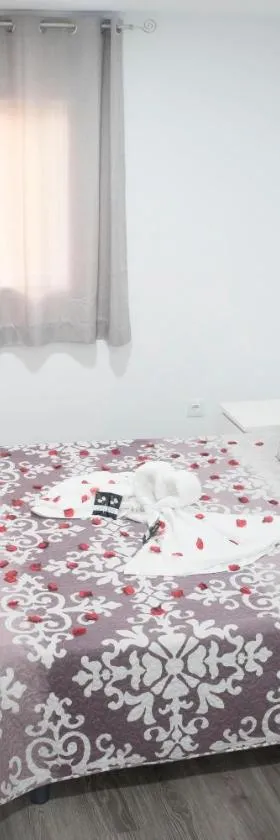 格耶思科广场旅馆，位于普拉森西亚的酒店