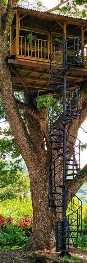 Casa en el Arbol，位于Utica的酒店