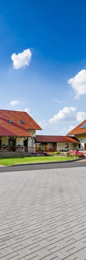 Venclův statek，位于Javornice的酒店