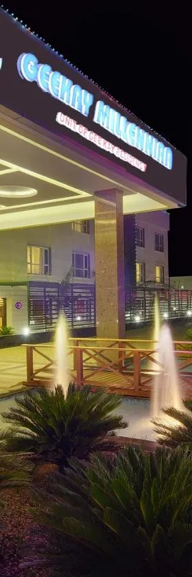 格卡伊米伦妮酒店，位于韦洛尔的酒店