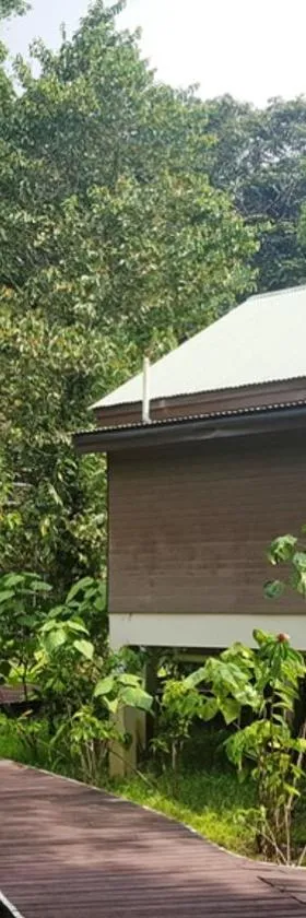 Mulu National Park，位于姆鲁的酒店