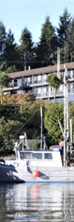 Tofino Motel Harbourview，位于托菲诺的酒店