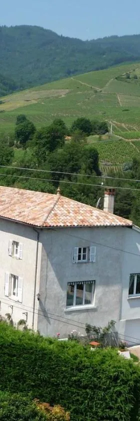 莱斯皮克雷提斯旅馆，位于Vaux-en-Beaujolais的酒店
