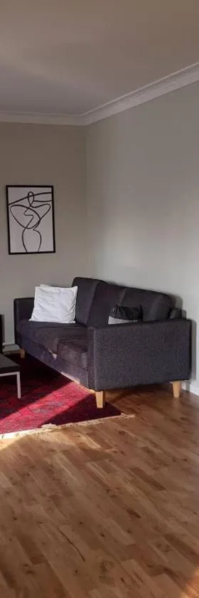 Lovely, spacious apartment with free parking，位于桑德维肯的酒店