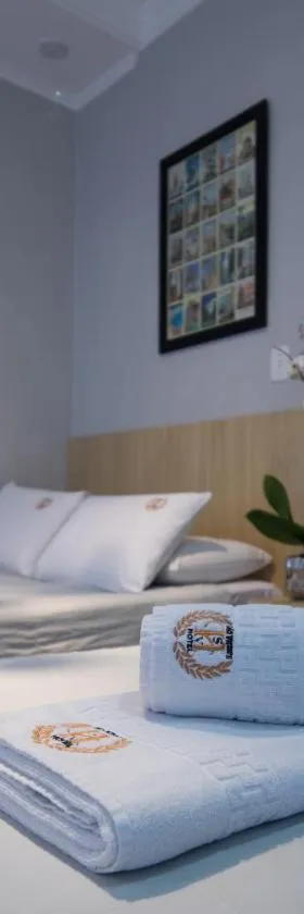 Hotel São Vicente，位于帕苏丰杜的酒店