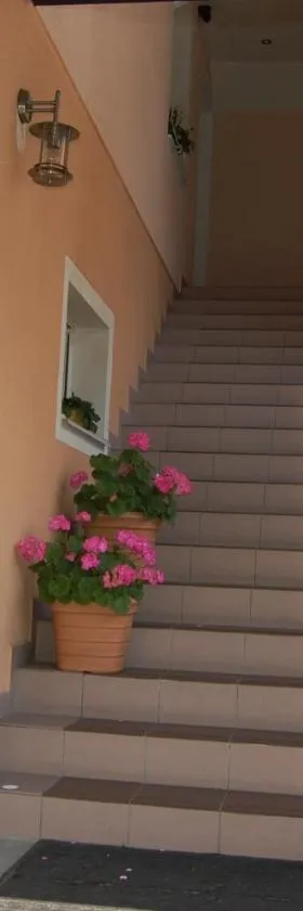 Pension Janka Kdyně，位于Kdyně的酒店