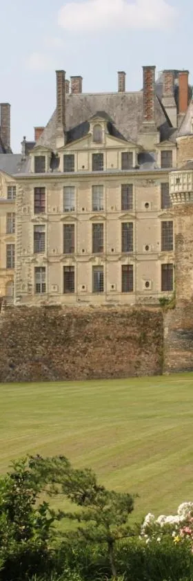 布里萨克城堡旅馆，位于Brissac-Quincé的酒店