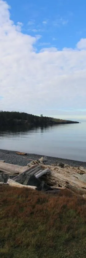 Lopez Island Agate Beach Waterfront Home，位于Islandale的酒店