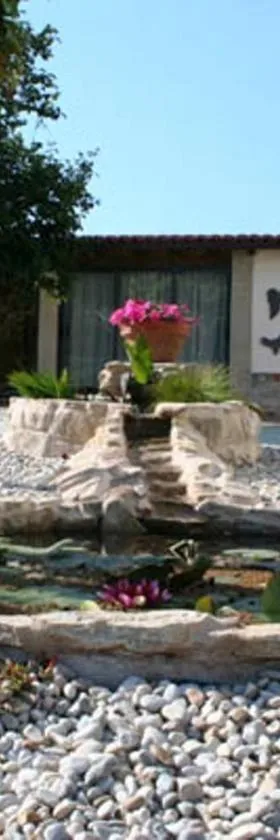 尼克森乡村酒店，位于博伊罗的酒店