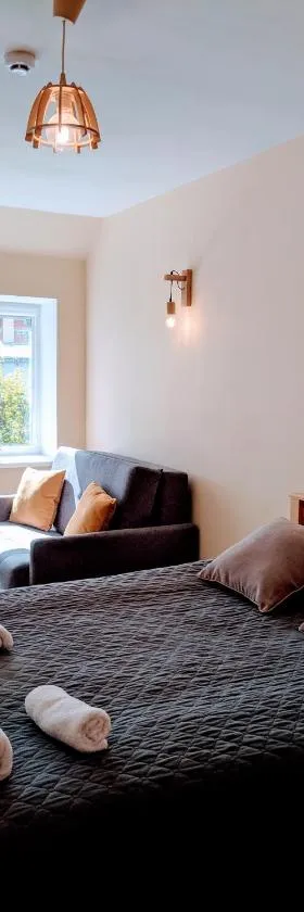 Guest House Kamara，位于帕内韦日斯的酒店
