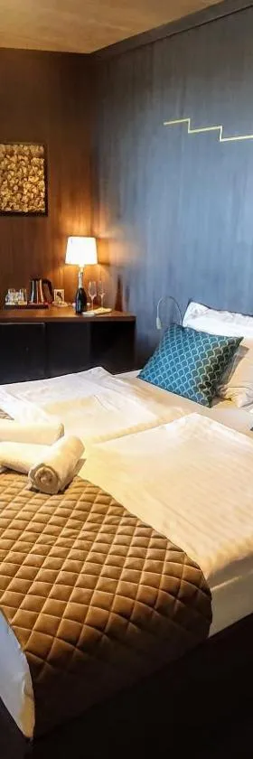 Hotel D1，位于奥斯特罗瓦西斯的酒店