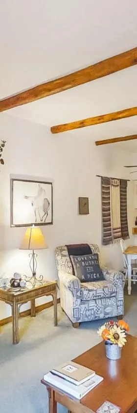 The Aspen Glow，位于杜兰戈山度假胜地的酒店