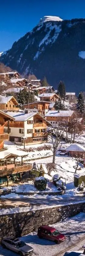 Hotel & Spa Le Dahu，位于莫尔济讷的酒店