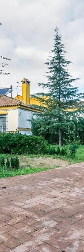 Casa Elizabeth，位于Palomares del Río的酒店