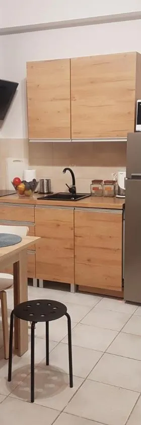 Apartamenty i pokoje Pluszak，位于桑多梅日的酒店