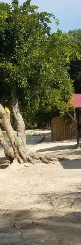 The Beachaven Chalets, Kota Belud，位于古打毛律的酒店