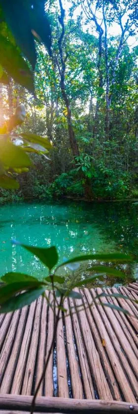 Hotel Fazenda Areia que Canta，位于布罗塔斯的酒店