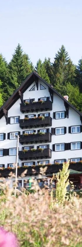 Hotel Tisa Pohorje，位于霍茨科波霍尔耶的酒店