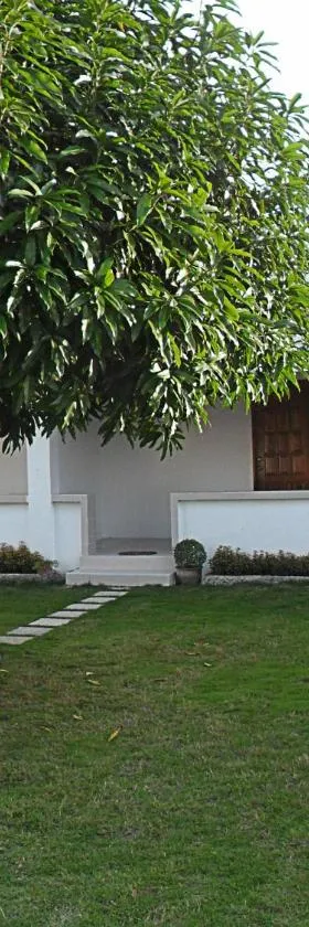 Jasmin's Room Rental，位于莫阿尔博阿的酒店