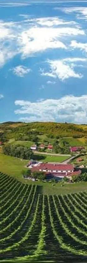 Stupnički Dvori Winery Hotel，位于布若德斯科斯图帕尼克的酒店
