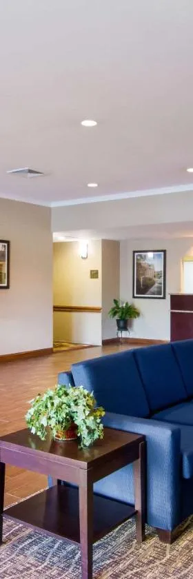 Comfort Inn Blackshear Hwy 84，位于Blackshear的酒店