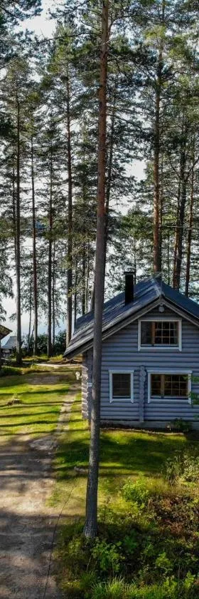 Vacation Home Tulikallio，位于Suonenjoki的酒店