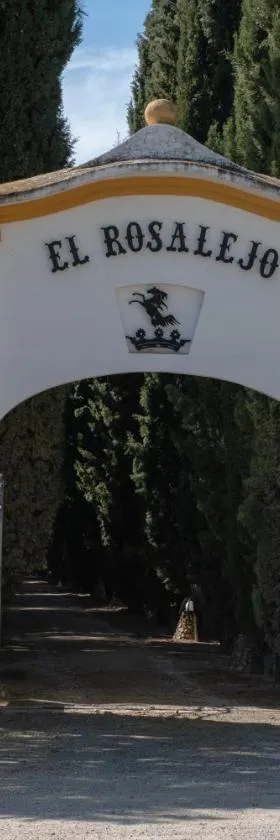 Hacienda El Rosalejo，位于比利亚马尔廷的酒店