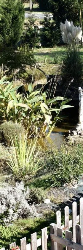 La mare aux Canards, 8mn du Zoo de Beauval，位于Châteauvieux的酒店