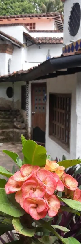 康斯坦丁诺乡村民宿，位于里韦拉的酒店