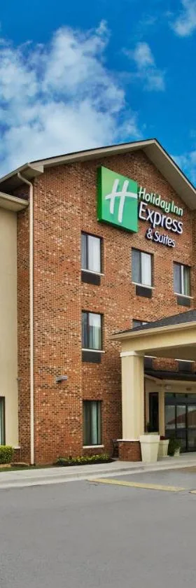 Holiday Inn Express & Suites Buford NE - Lake Lanier by IHG，位于比福德的酒店