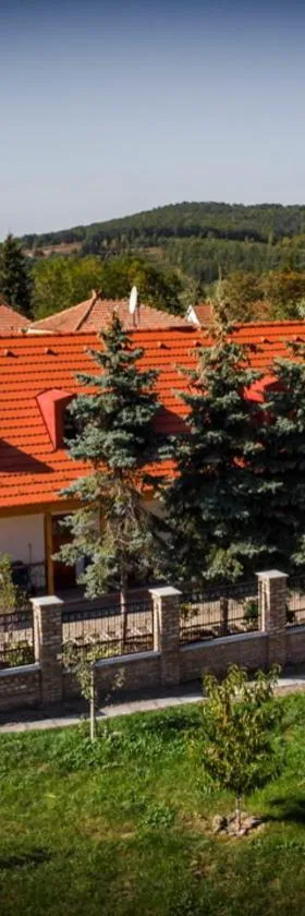 Grabensia Fogadó，位于Garáb的酒店