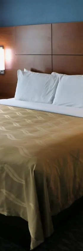Quality Inn & Suites Watertown Fort Drum，位于Calcium的酒店