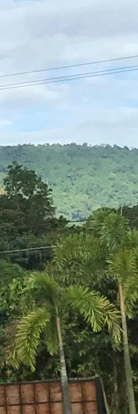 B&B Forest Hill Khao Yai，位于Noen Hom的酒店
