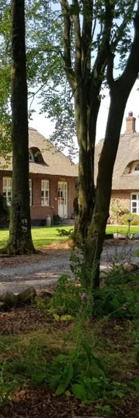 Agerfeld gl. skole，位于霍尔斯特布罗的酒店