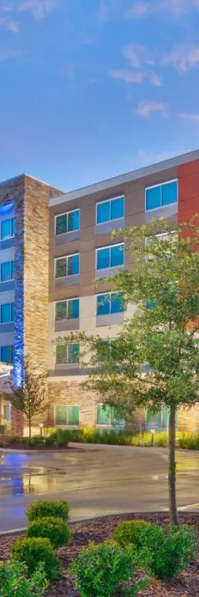 Holiday Inn Express & Suites - Gainesville I-75 by IHG，位于盖恩斯维尔的酒店
