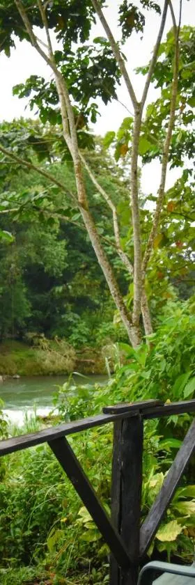 Chilamate Rainforest Eco Retreat，位于Puerto Viejo的酒店