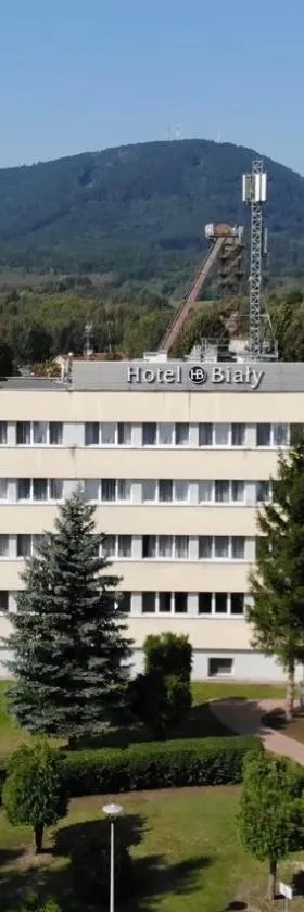 Hotel Biały，位于瓦乌布日赫的酒店