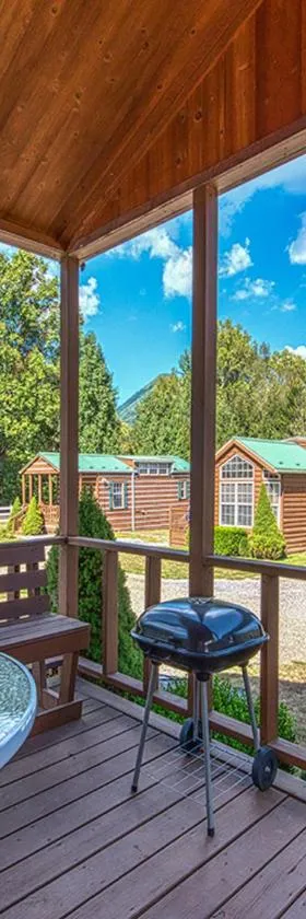 Maggie Valley Cabin Rentals，位于马吉谷的酒店