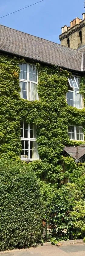 Pages Hotel and Guesthouse，位于哈洛的酒店