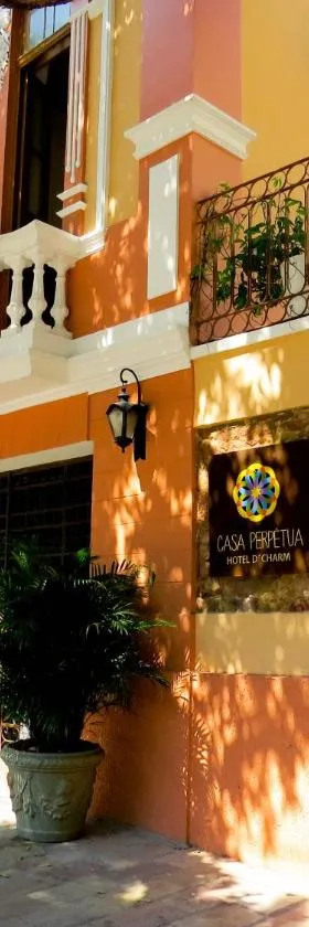 Casa Perpetua Hotel D Charm，位于马瑙斯的酒店