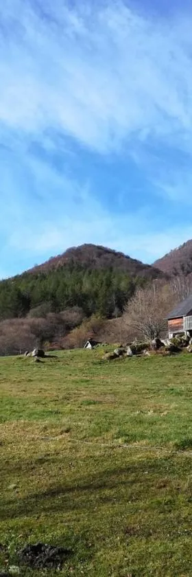 Les chalets de la forêt d'Issaux，位于阿斯普地区奥斯的酒店