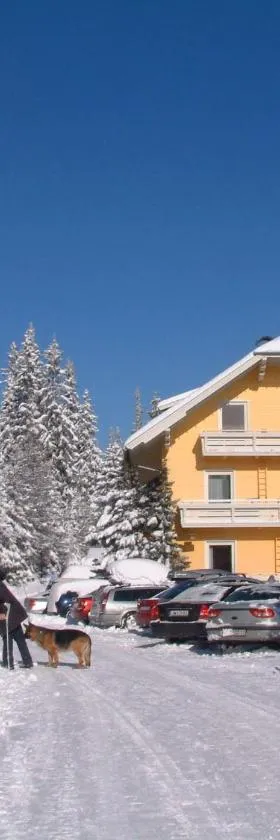 Appartement Aigner，位于卡奇山口的酒店
