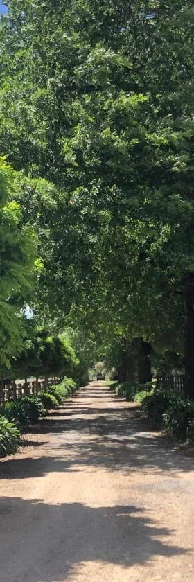 Oak Lane Guest House & Farm Stay，位于Whorouly的酒店