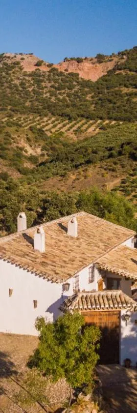 Cortijo Rural Majolero，位于Castillo de Locubín的酒店