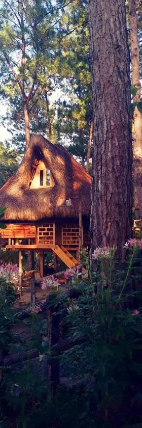 萨加达民俗村山林小屋，位于萨加达的酒店