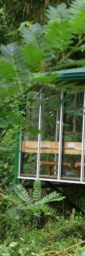 Sinharaja Kurulu Ella Eco Resort，位于代尼耶耶的酒店