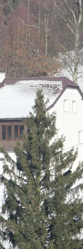 Horská chata Hubertus，位于阿尔布勒茨缇策维基泽尔斯基弛霍拉次的酒店