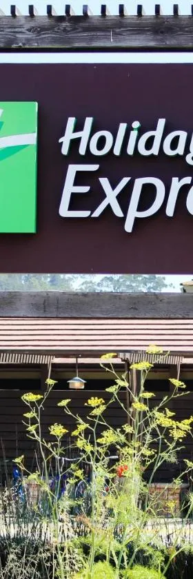 Holiday Inn Express Mill Valley San Francisco Area by IHG，位于米尔谷的酒店